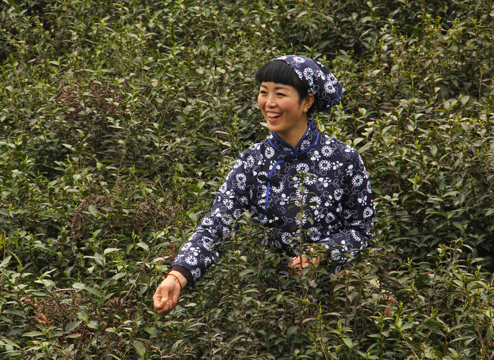 222间房主播跳舞 霓虹私房